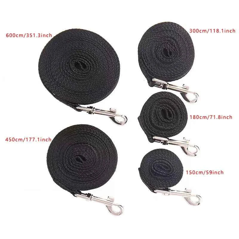 Small Breed Nylon Leash