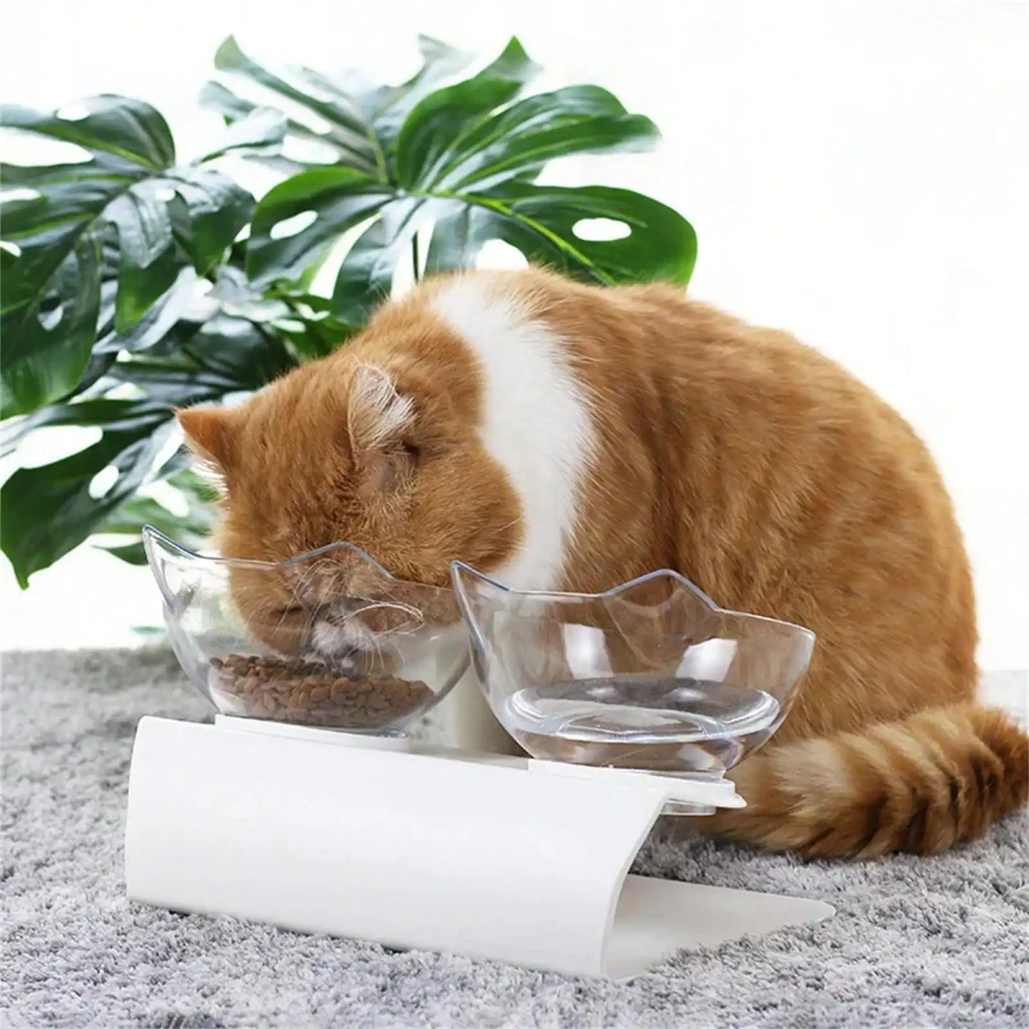 Plastic Kitty Feeder Bowl