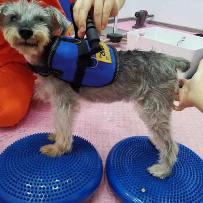 Flying Disc Dog Toy