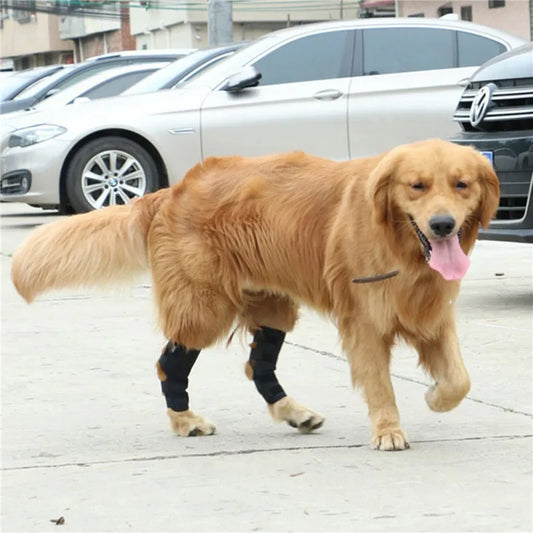Pet Leg Sleeve