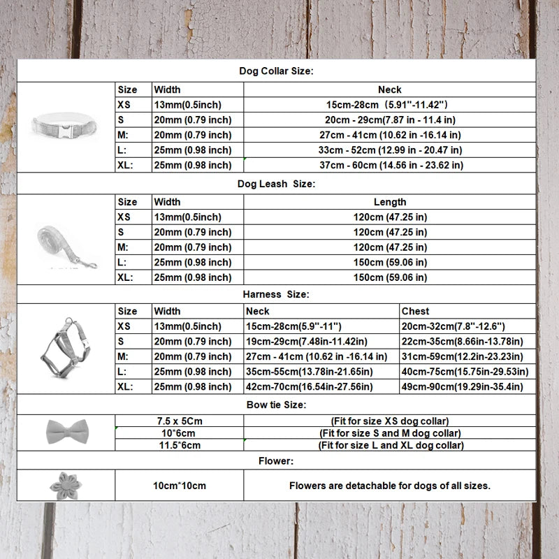 Custom Name Collar & Bowtie