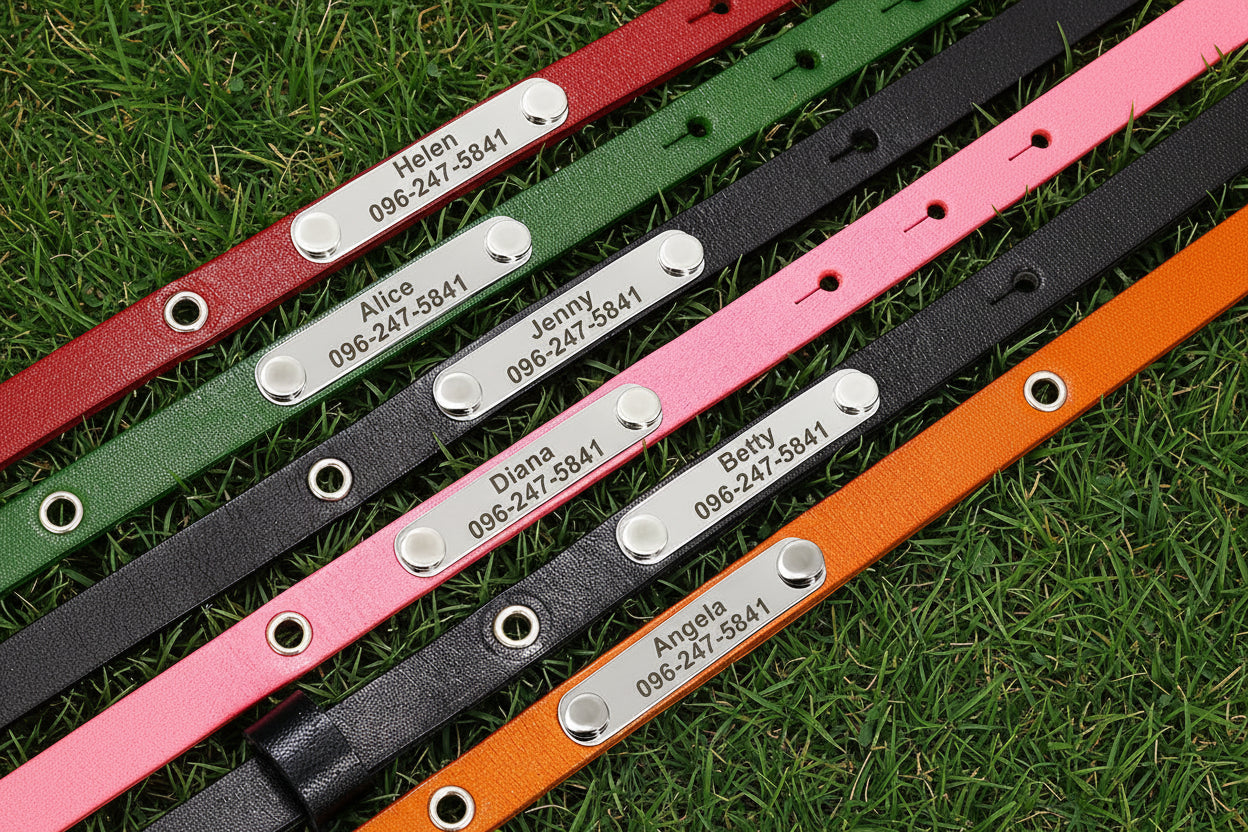Personalized Cat Collar