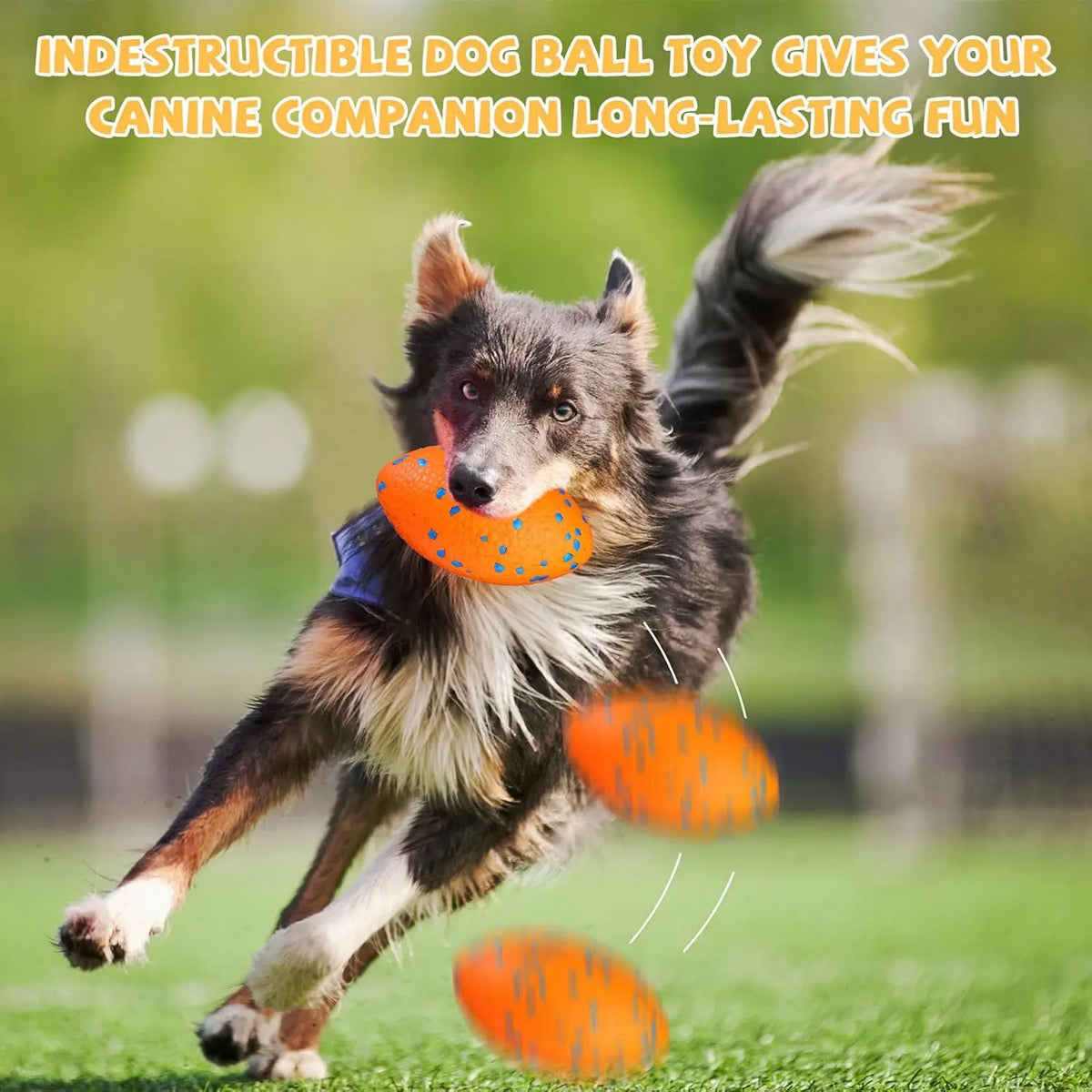 Dog Ball for Aggressive Chewers