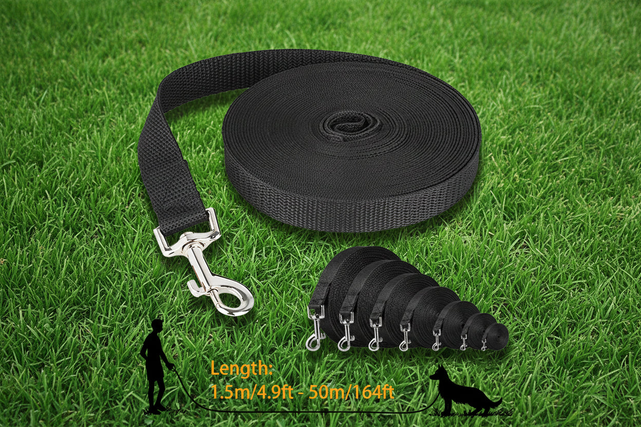 Nylon Leash