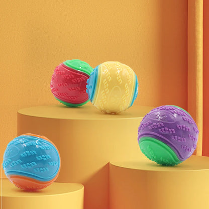 Pet Rubber Fetch Ball