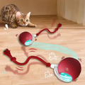 Pet Auto Fetch Ball