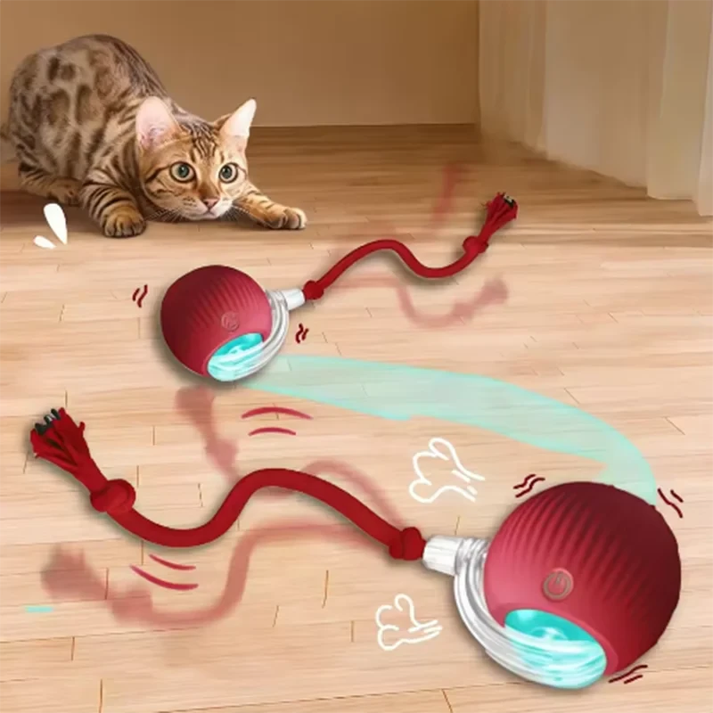 Pet Auto Fetch Ball
