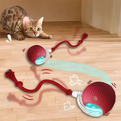 Pet Auto Fetch Ball
