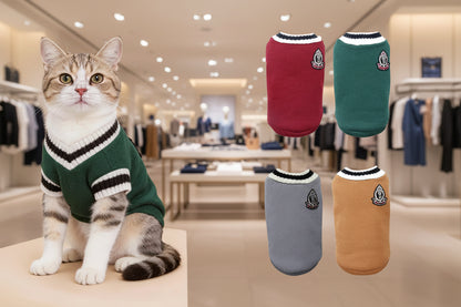 Pet Letterman Sweater