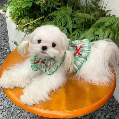 Small Breed Summer Dress