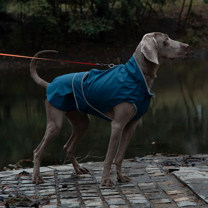 Pet Outdoor Waterproof Jacket