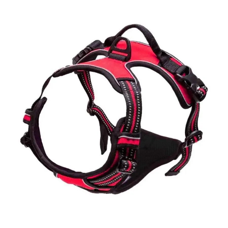 Dog Harness Collar & Leash Set Front View