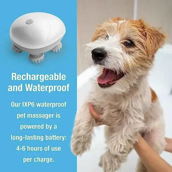 Electric Pet Messager - Keep Your Pets Engaged and Happy