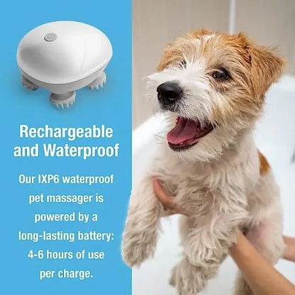 Electric Pet Messager