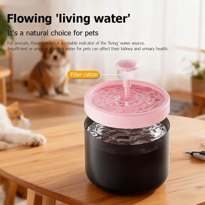 Automatic Water Dispenser