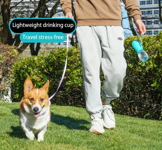 Portable Pet Water Bottle 300ml for Dogs & Cats