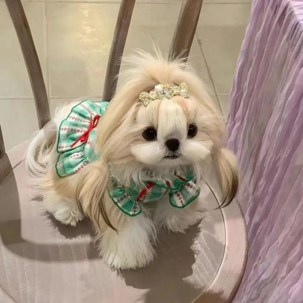 Small Breed Summer Dress