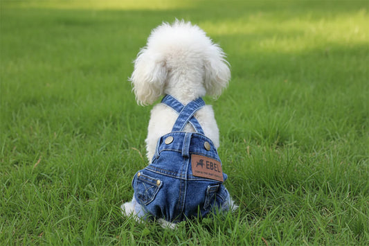 Small breed denim cover-all for dogs providing durable, comfortable outdoor protection and stylish coverage.
