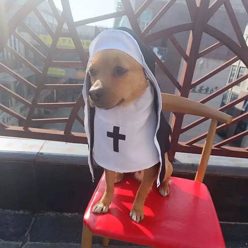 Kitty Nun Costume - Waggy World