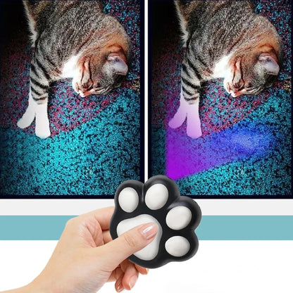 Laser Pet Toy