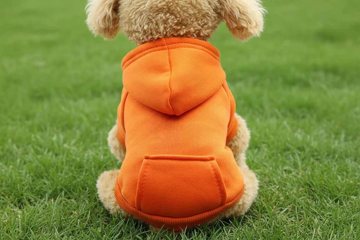 Doggy Plain Hoodie