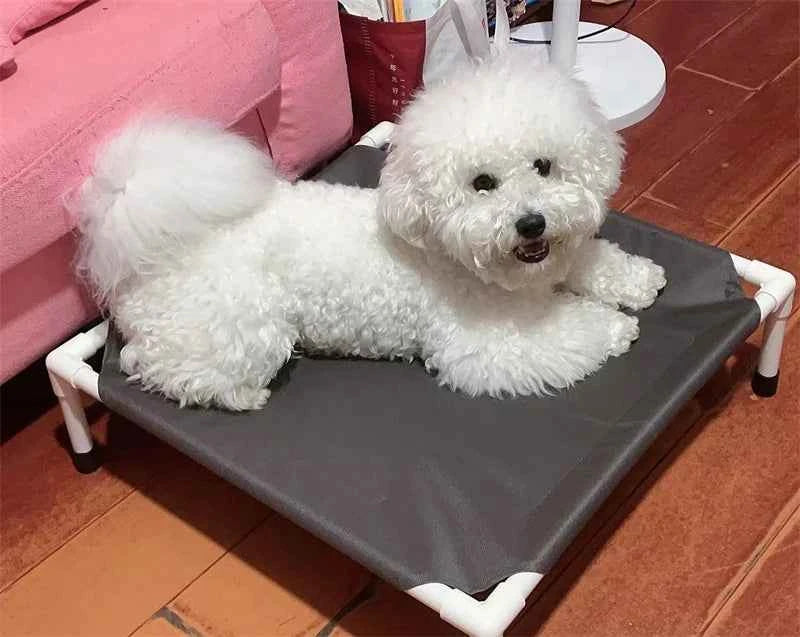 Pet Canopy Bed