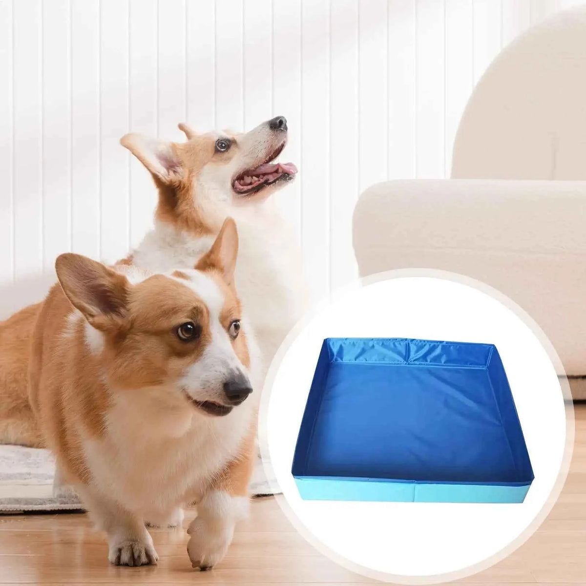 Pet Portable Bathtub