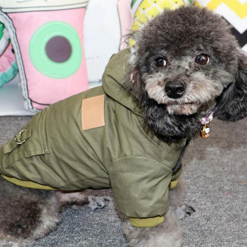 Doggy Jacket