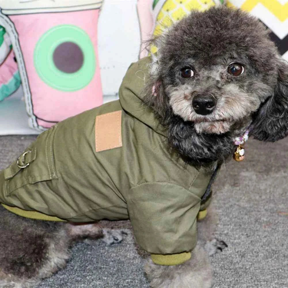 Doggy Jacket
