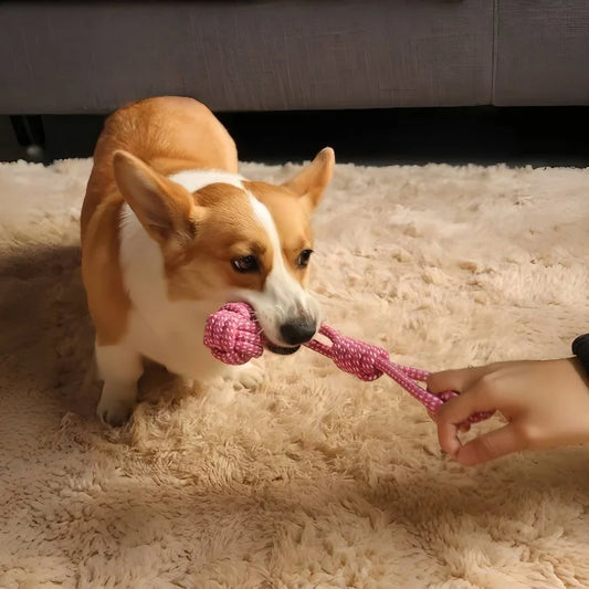 Pet Toy Rope