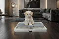 Pet Heating Pad - Waggy World