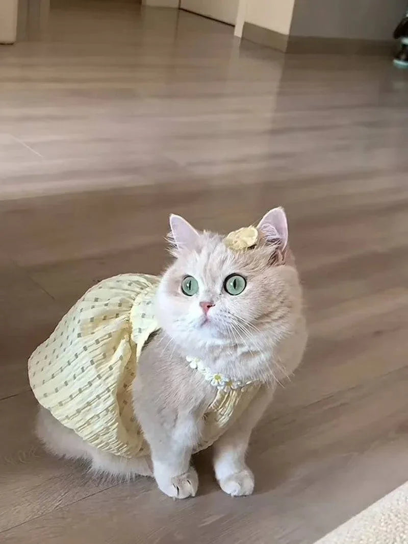 Kitty Summer Dress