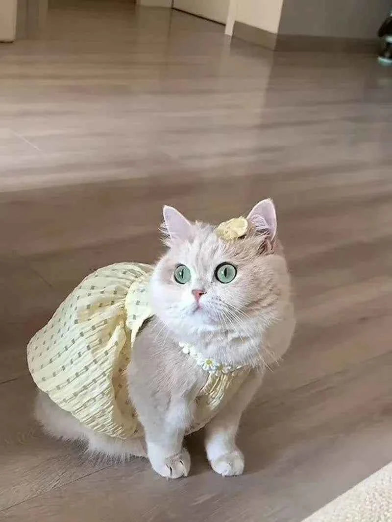 Kitty Summer Dress