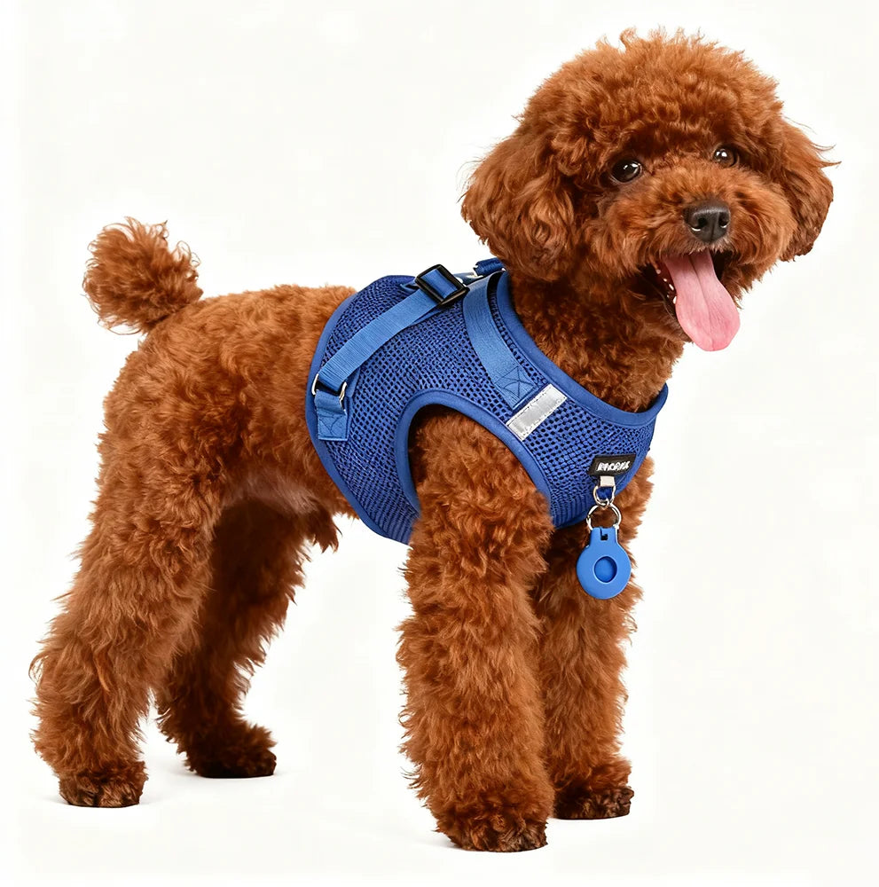 No Pull Dog Harness Vest offers comfort, control, and a secure fit for daily walks, training, hiking, and outdoor adventures with your dog.