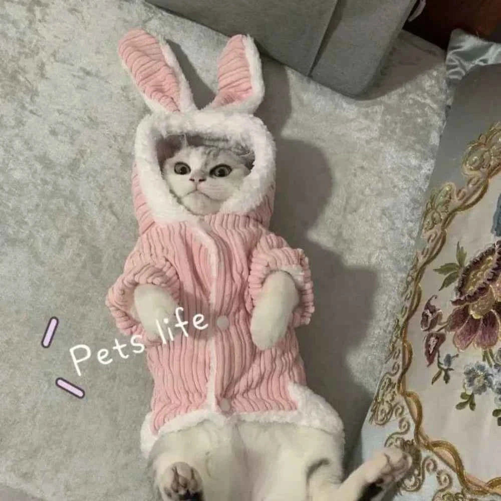 Kitty Cat costume