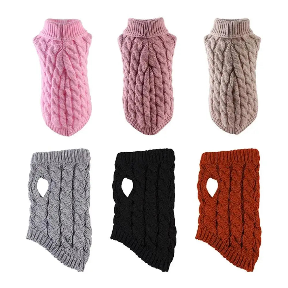 Winter Turtle Neck Sweater - Waggy World