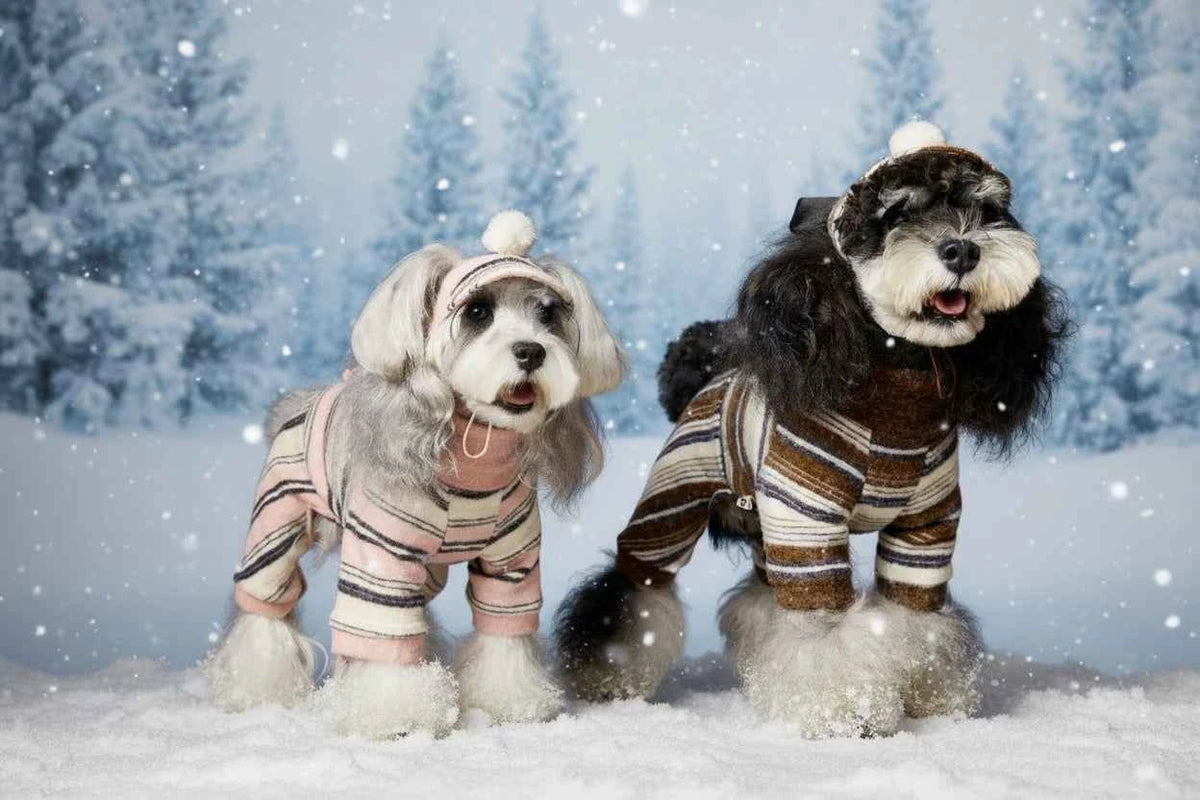 Pet Sweater & Visor