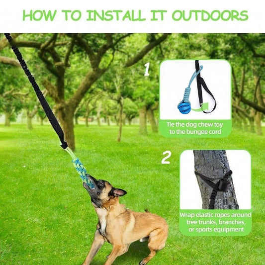 3pc Elastic Ball & Rope