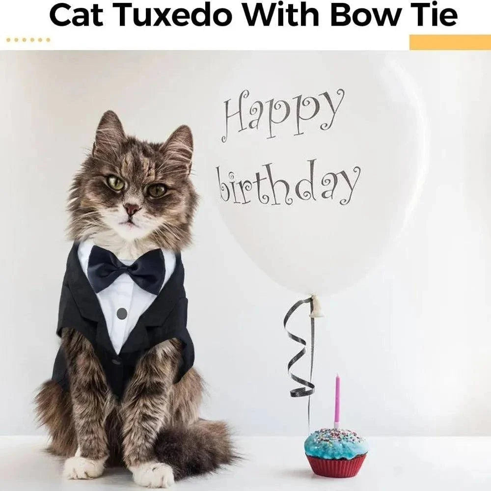 Formal Cat Tuxedo