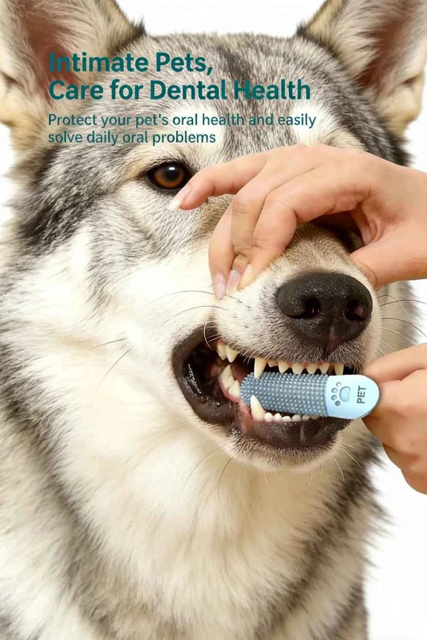 Pet Teeth Cleaning Tool