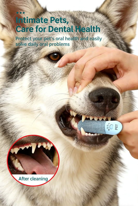 Pet Teeth Cleaning Tool