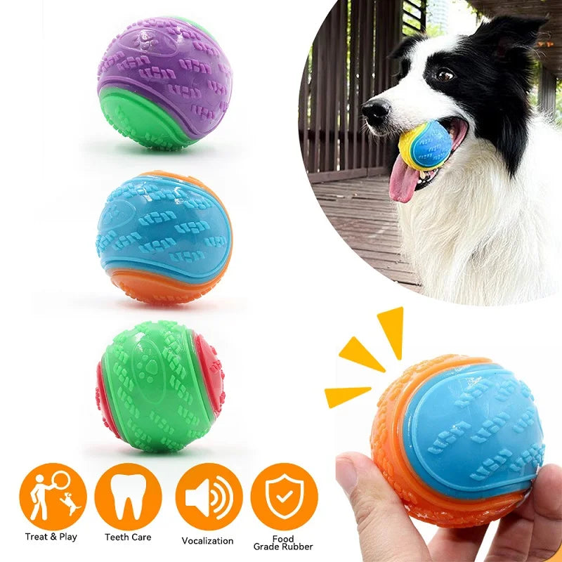 Pet Rubber Fetch Ball