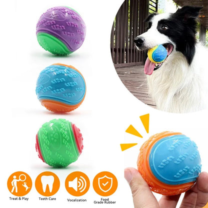 Pet Rubber Fetch Ball