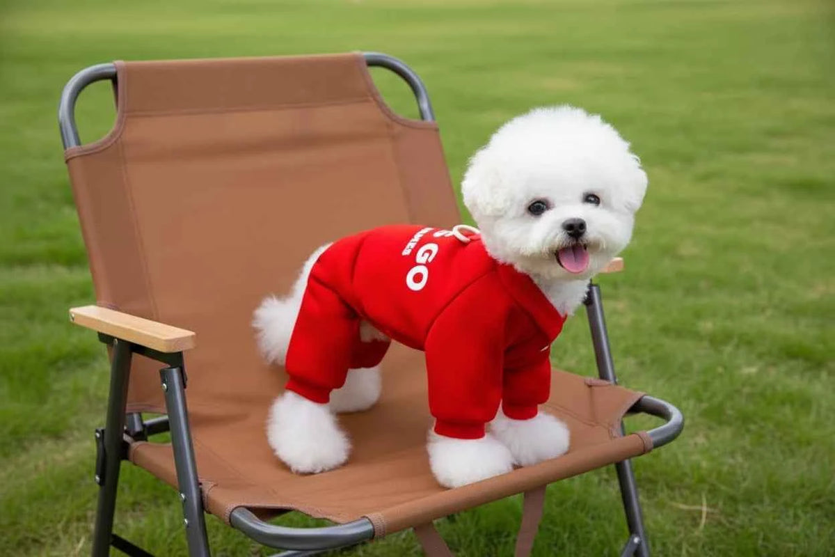 Doggy jumpsuit