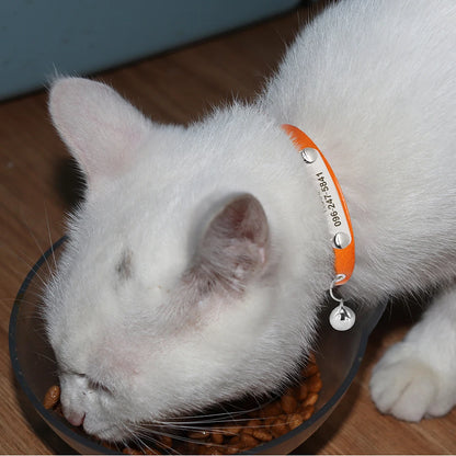 Personalized Cat Collar