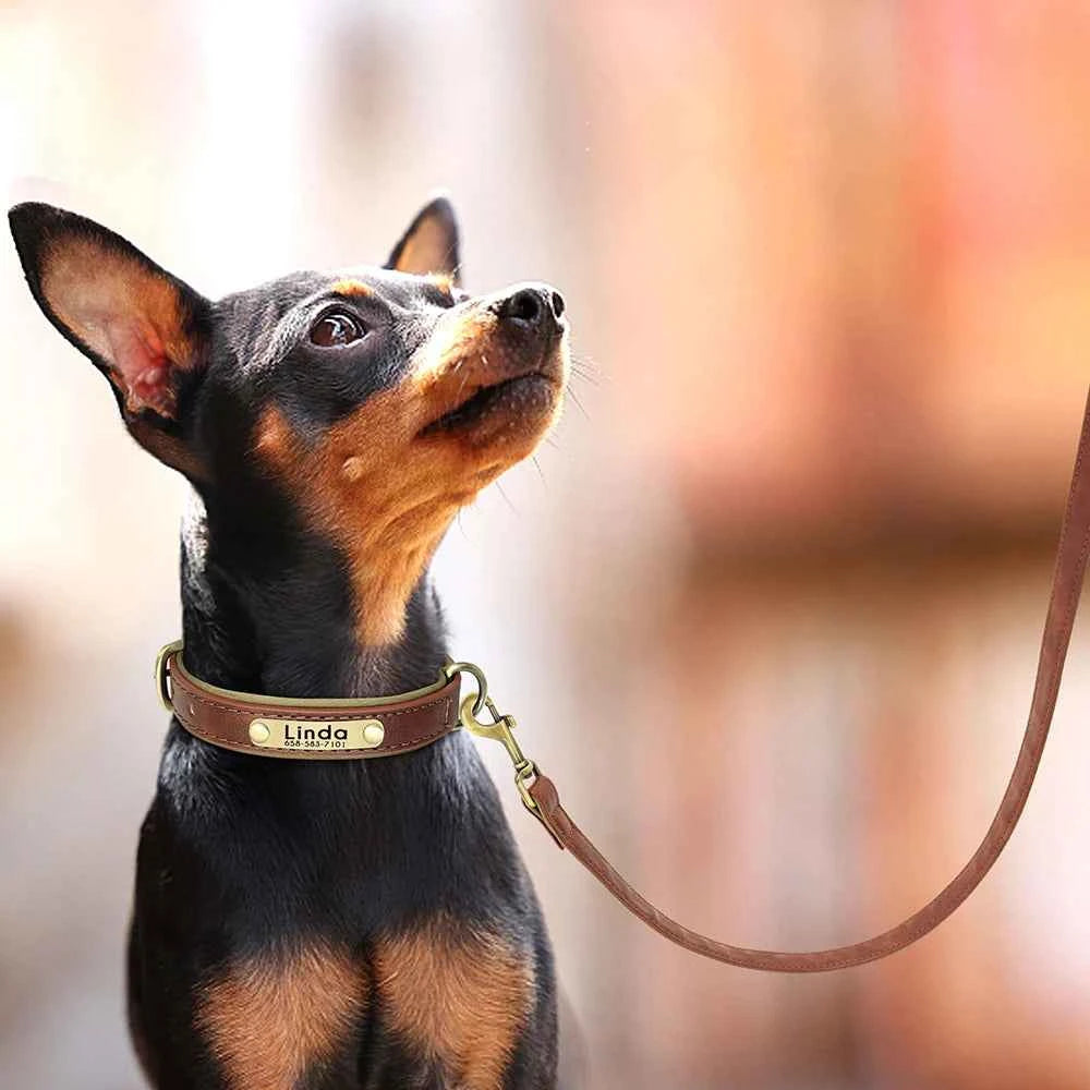 5 FT. Leather Leash