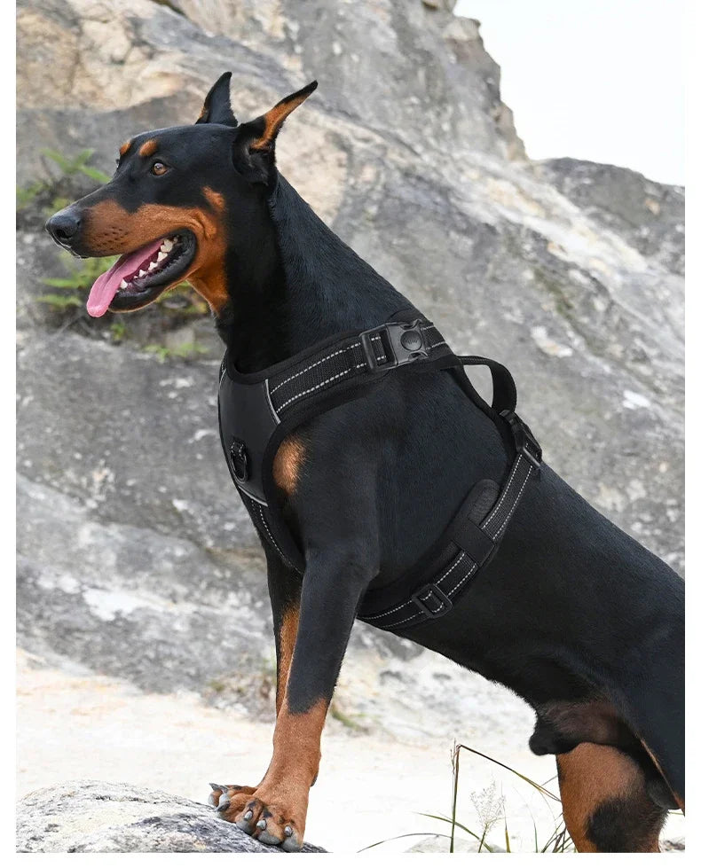 Large Breed Tactical Harness