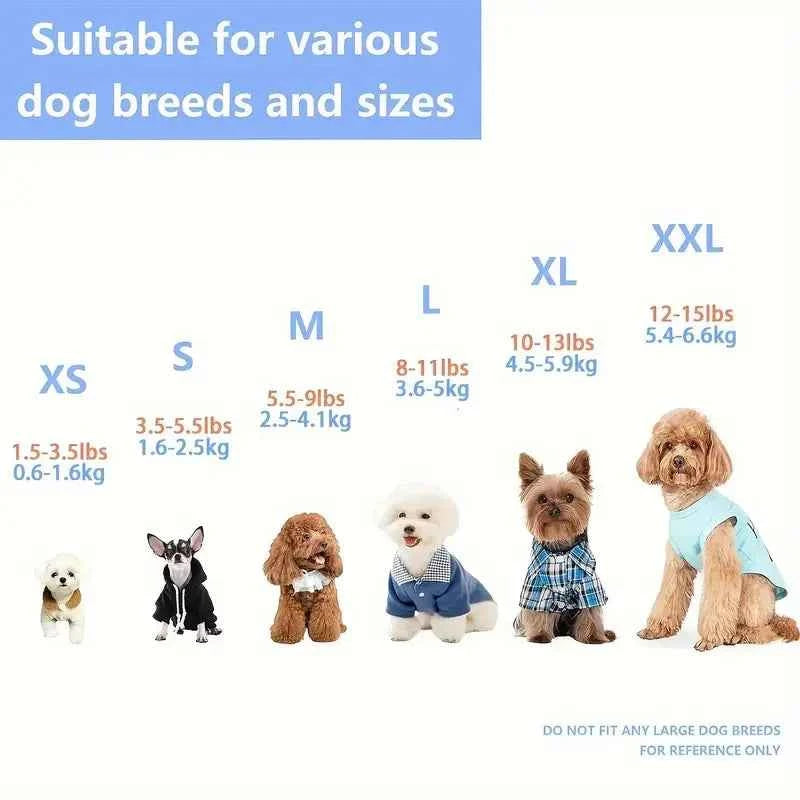2pc Shirt & Leash