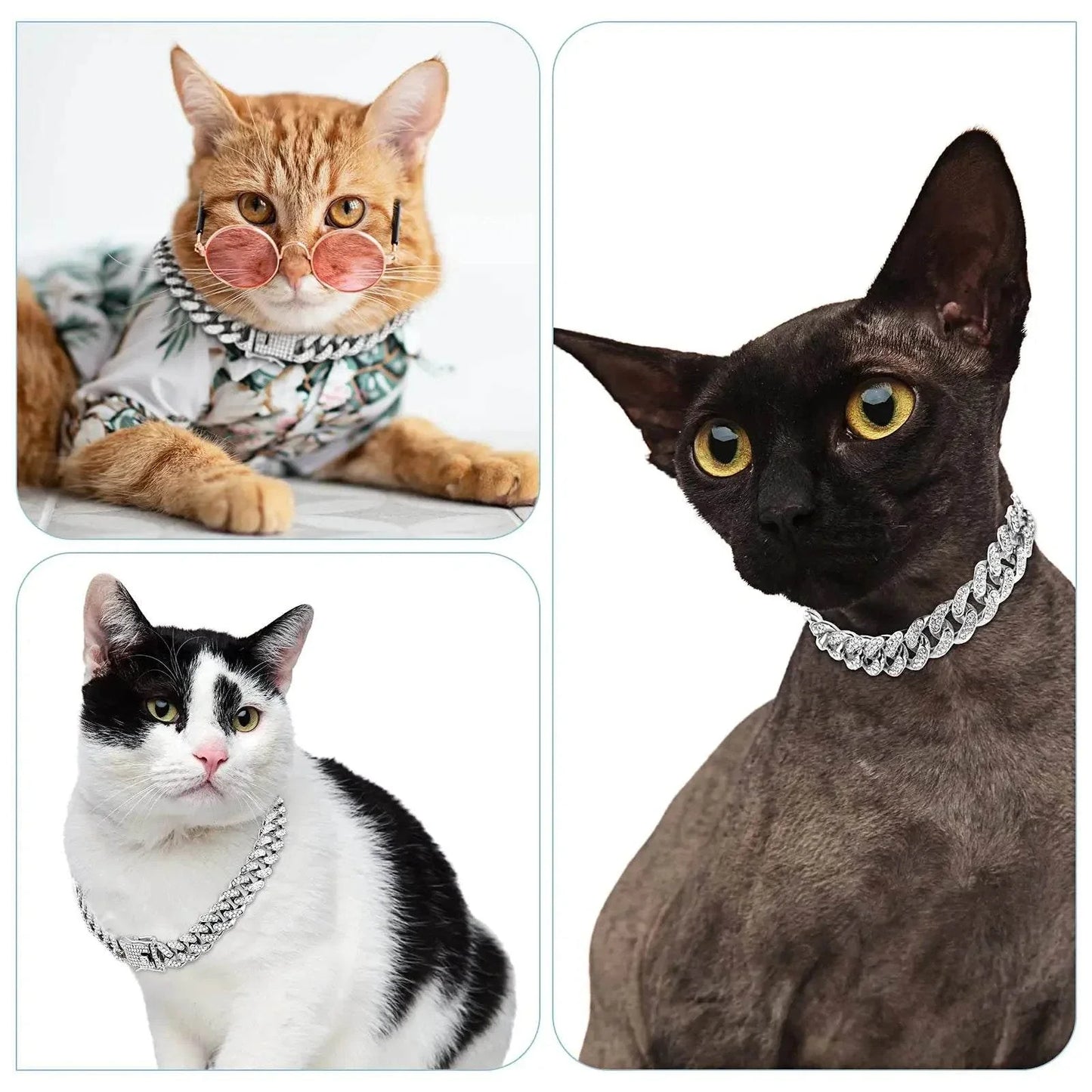 Cuban Link Pet Chain