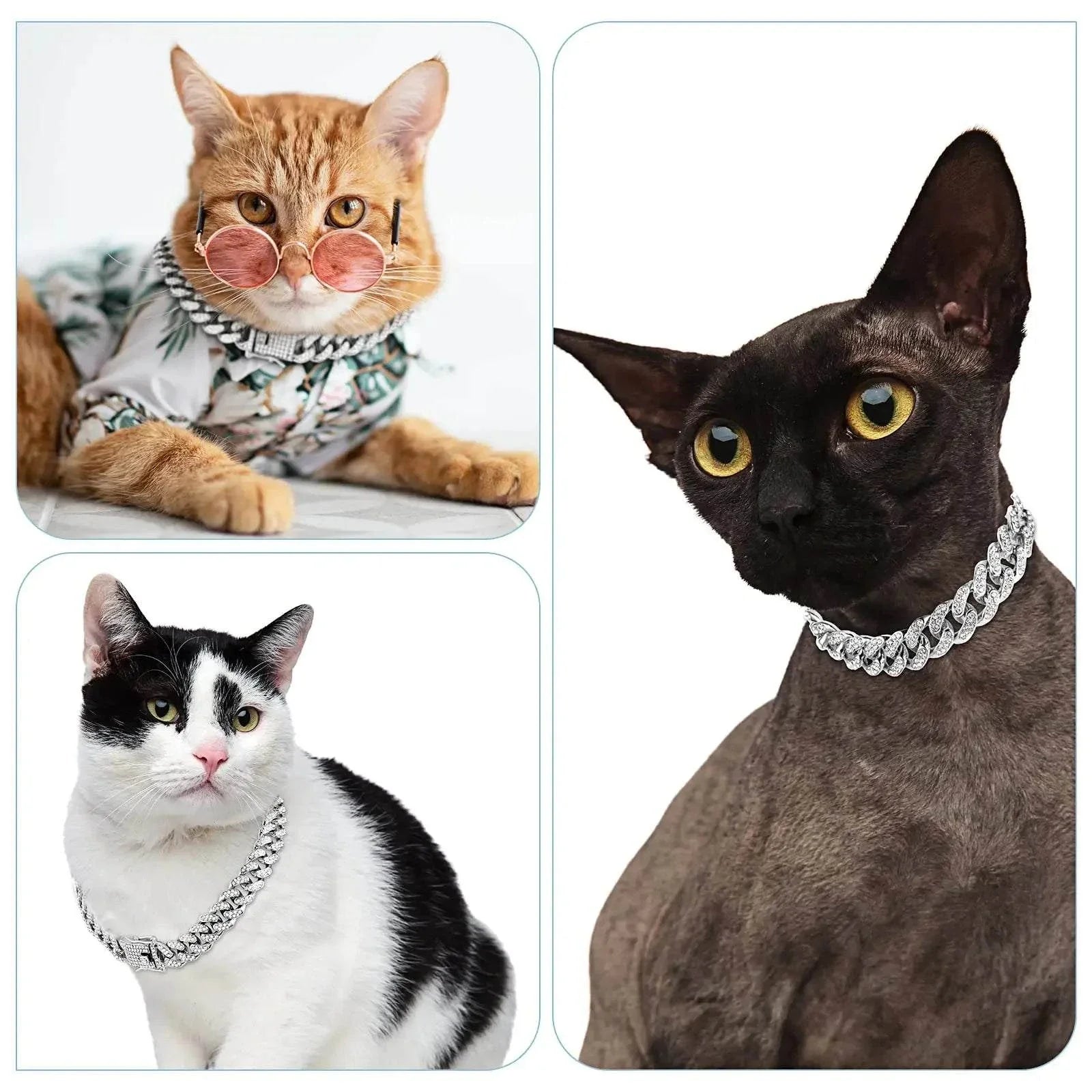 Cuban Link Pet Chain